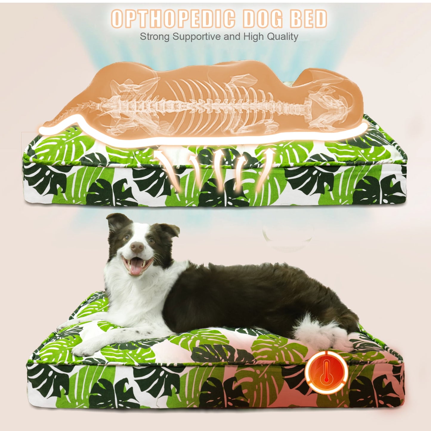 Exclusivo Mezcla Orthopedic Dog Bed for Small Dogs, Shredded Memory Foam Supportive Therapy Fillings Pet Bed, Soft Warm Washable Cat Cuddler Bed, Monstera Leaf 24''x18''