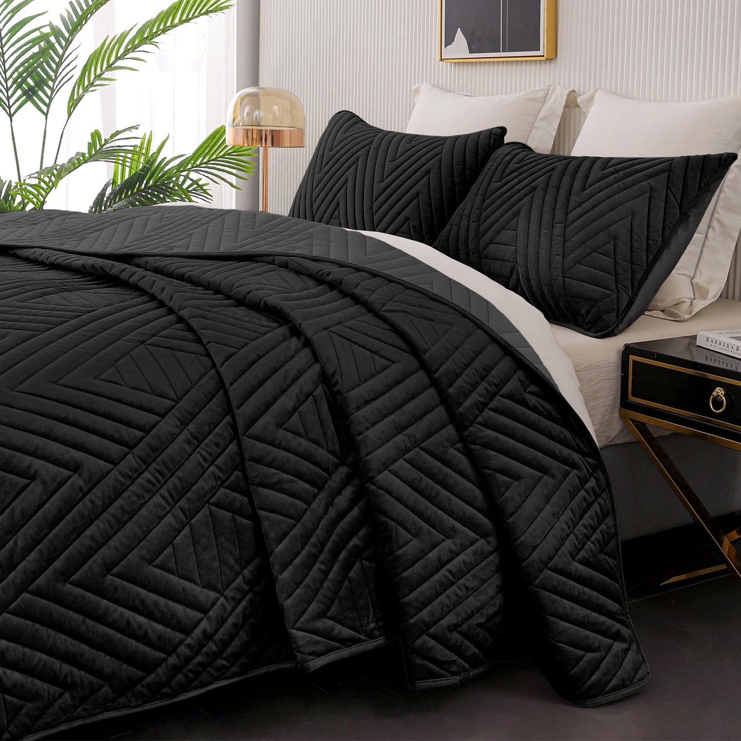 Exclusivo Mezcla Super Plush Velvet Quilts Queen Size with Pillow Shams, Luxury Soft Reversible 3 Piece Bedspreads Coverlet Comforter set for all seasons, Lightweight and Warm, Black
