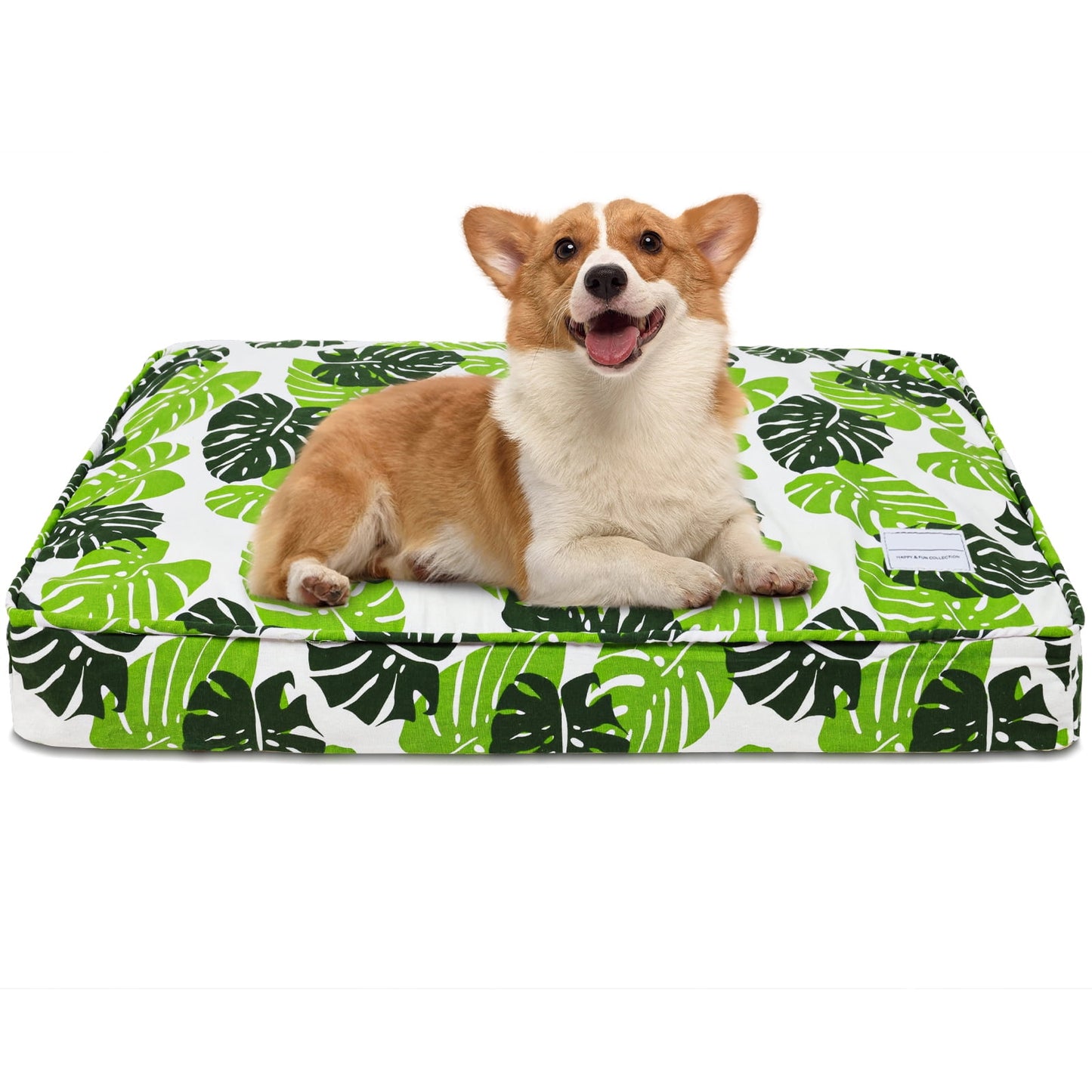 Exclusivo Mezcla Orthopedic Dog Bed for Small Dogs, Shredded Memory Foam Supportive Therapy Fillings Pet Bed, Soft Warm Washable Cat Cuddler Bed, Monstera Leaf 24''x18''