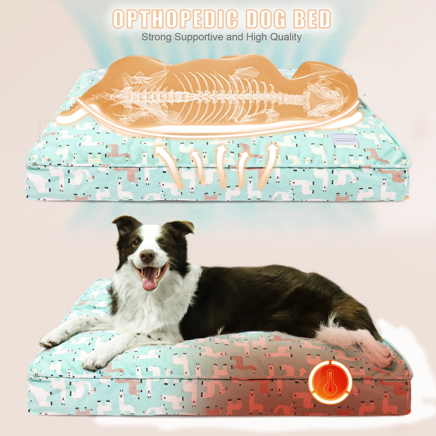 Exclusivo Mezcla Orthopedic Dog Bed for Large Dogs, Shredded Memory Foam Supportive Therapy Fillings Pet Bed, Soft Warm Washable Cat Cuddler Bed, Alpaca 36''x24''