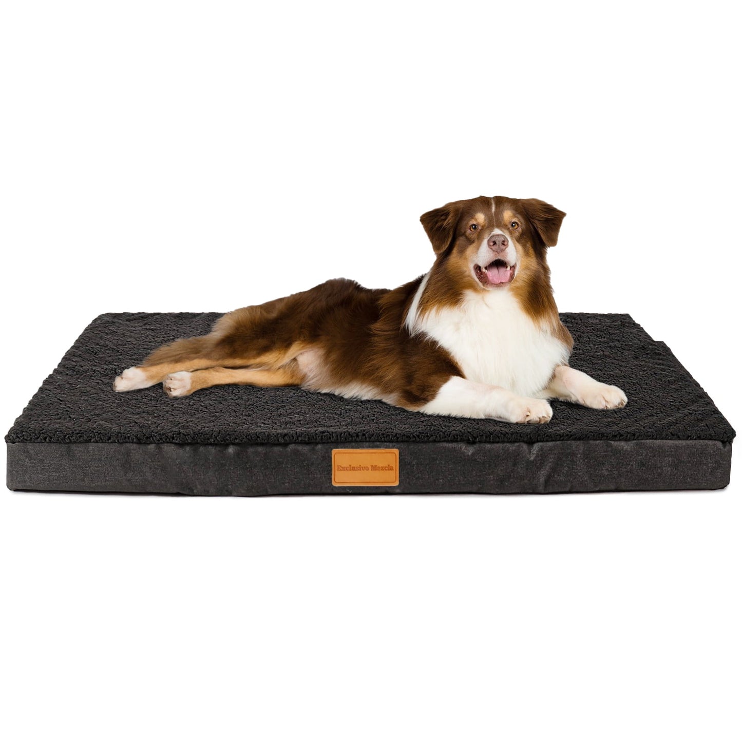 Exclusivo Mezcla Orthopedic Dog Bed for Medium Dogs 36''X24'', Egg Crate Foam Medium Dog Beds with Removable Washable Cover,Waterproof Pet Bed Mat, Black