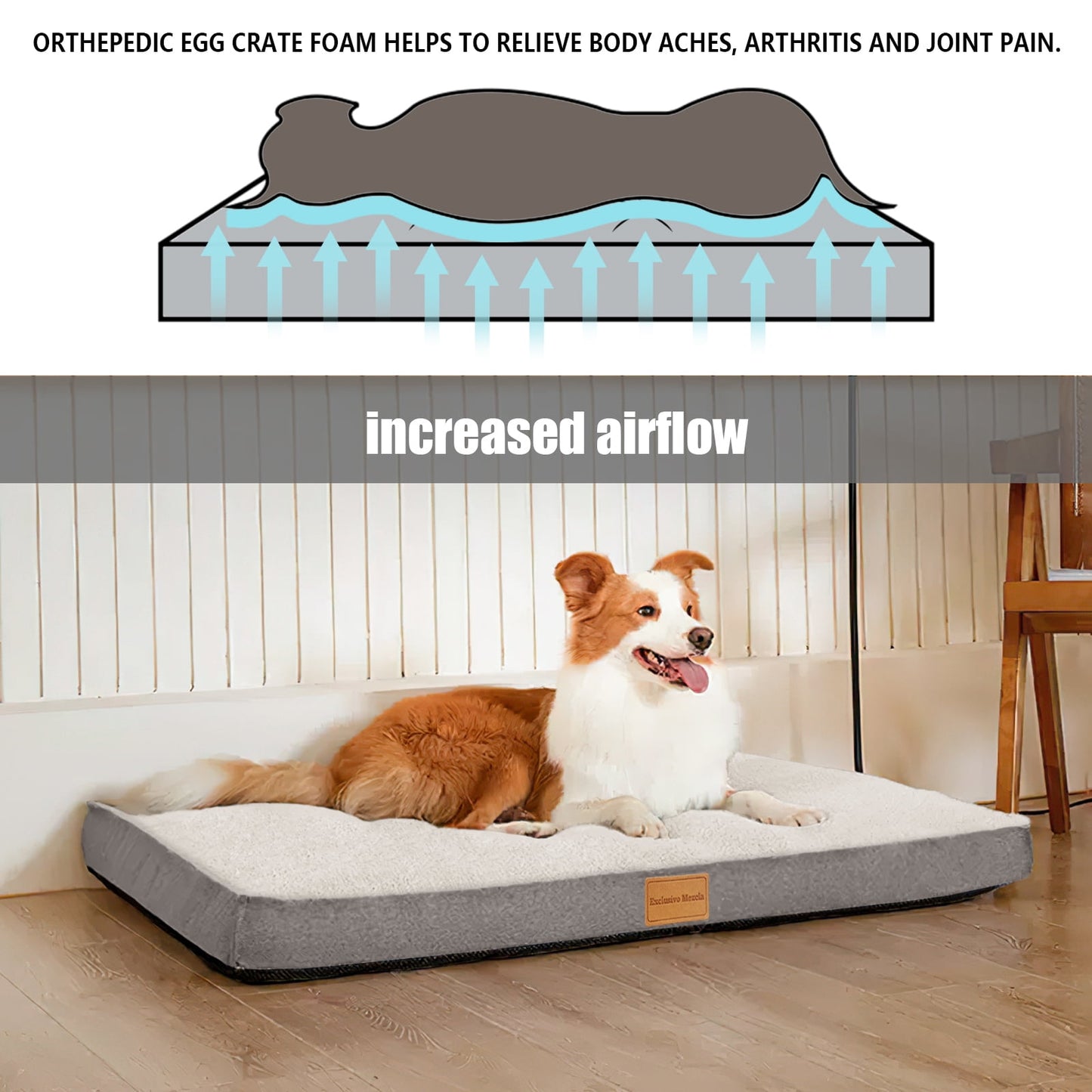 Exclusivo Mezcla Orthopedic XXL Dog Bed for Extra Large Dogs 48''X30'', Egg Crate Foam Big Large Dog Beds with Removable Washable Cover,Waterproof Pet Bed Mat, Ivory