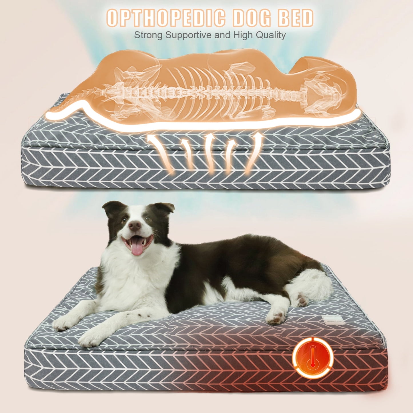 Exclusivo Mezcla Orthopedic Dog Bed for Small Dogs, Shredded Memory Foam Supportive Therapy Fillings Pet Bed, Soft Warm Washable Cat Cuddler Bed, Arrow 24''x18''